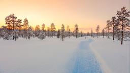 Ferienwohnungen in Lappland