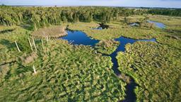 Hotels in Everglades