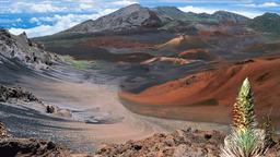 Ferienwohnungen in Haleakala National Park