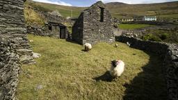 Hotels in Dingle-Halbinsel