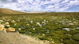 Ferienwohnungen in Atacama