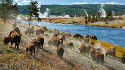 Hotels in Yellowstone Nationalpark