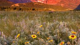 Hotels in Glacier National Park