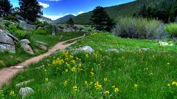Hotels in Rocky Mountain National Park