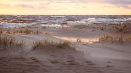 Hotels in Jersey Shore