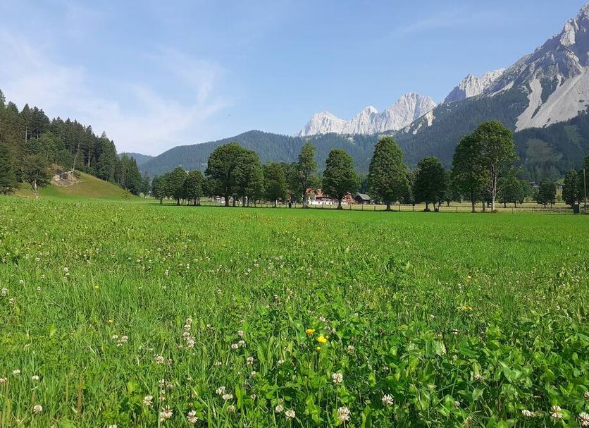 Außenansicht Foto