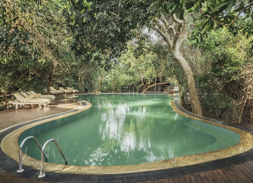 Pool Foto