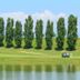 Andere