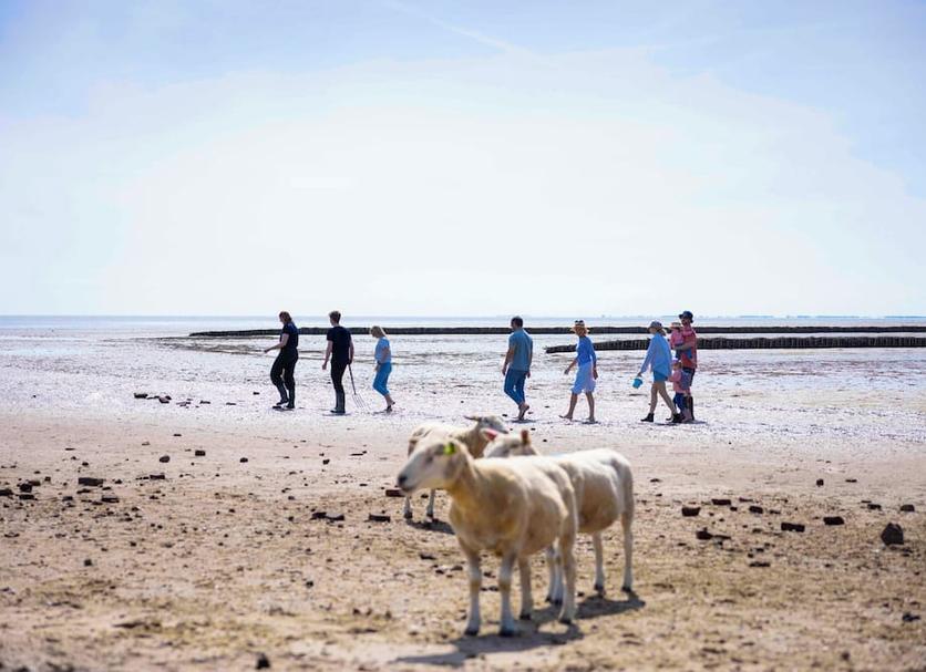Strand Foto